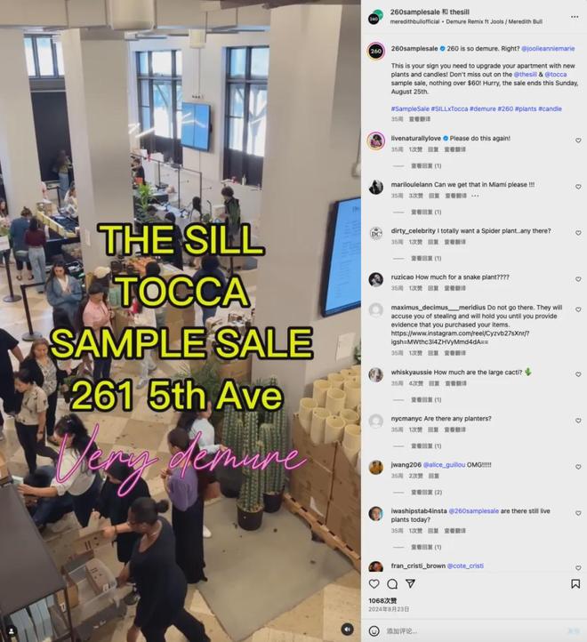 上绿植品牌The Sill是怎么做到的？九游会网址是多少平均每天卖出500盆线(图8)