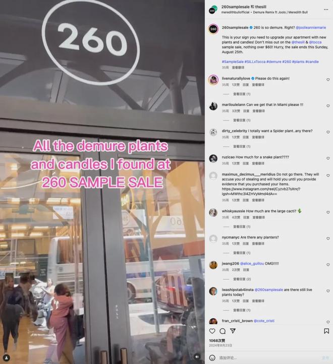 上绿植品牌The Sill是怎么做到的？九游会网址是多少平均每天卖出500盆线(图10)